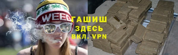 прущие грибы Гусиноозёрск