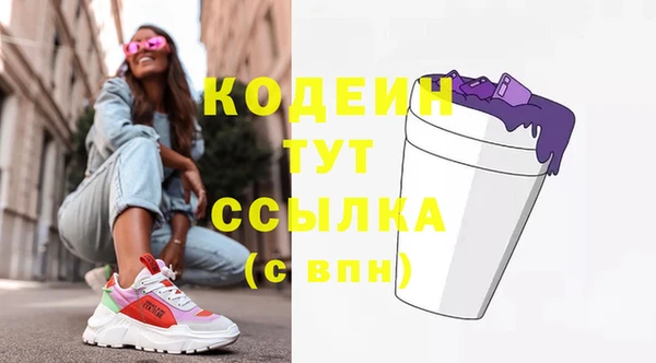 прущие грибы Гусиноозёрск