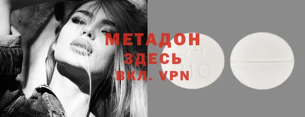прущие грибы Гусиноозёрск