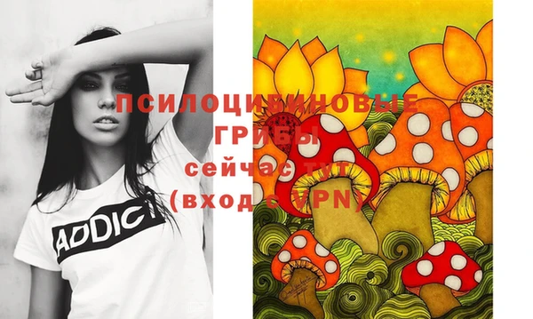 apvp Гусь-Хрустальный