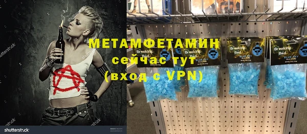 прущие грибы Гусиноозёрск