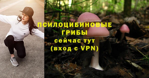 кокаин Гусев