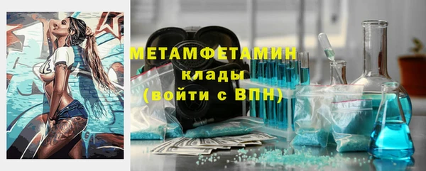 прущие грибы Гусиноозёрск