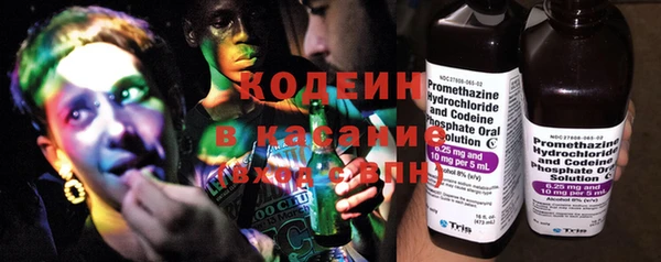 прущие грибы Гусиноозёрск
