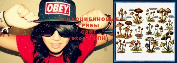 кокаин Гусев