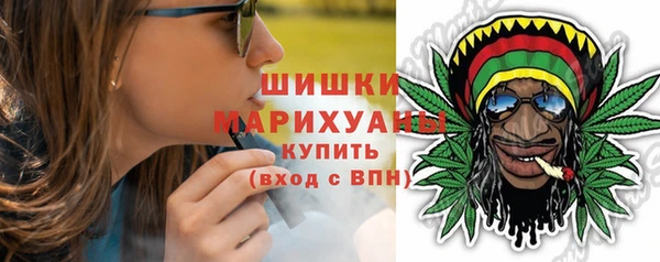 apvp Гусь-Хрустальный