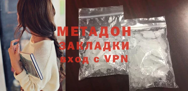 прущие грибы Гусиноозёрск