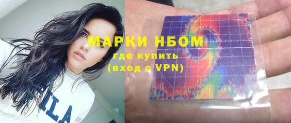 прущие грибы Гусиноозёрск