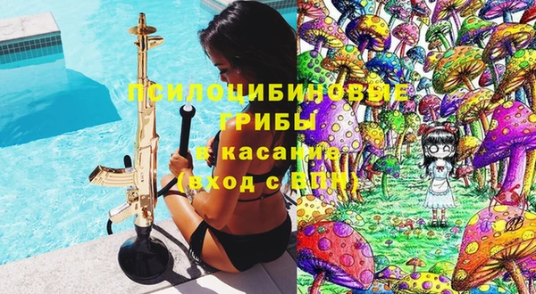 apvp Гусь-Хрустальный