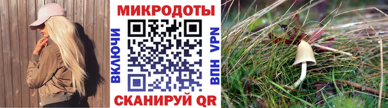 Галлюциногенные грибы GOLDEN TEACHER  Купить закладки  Мантурово 